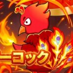 レッドピーコック
